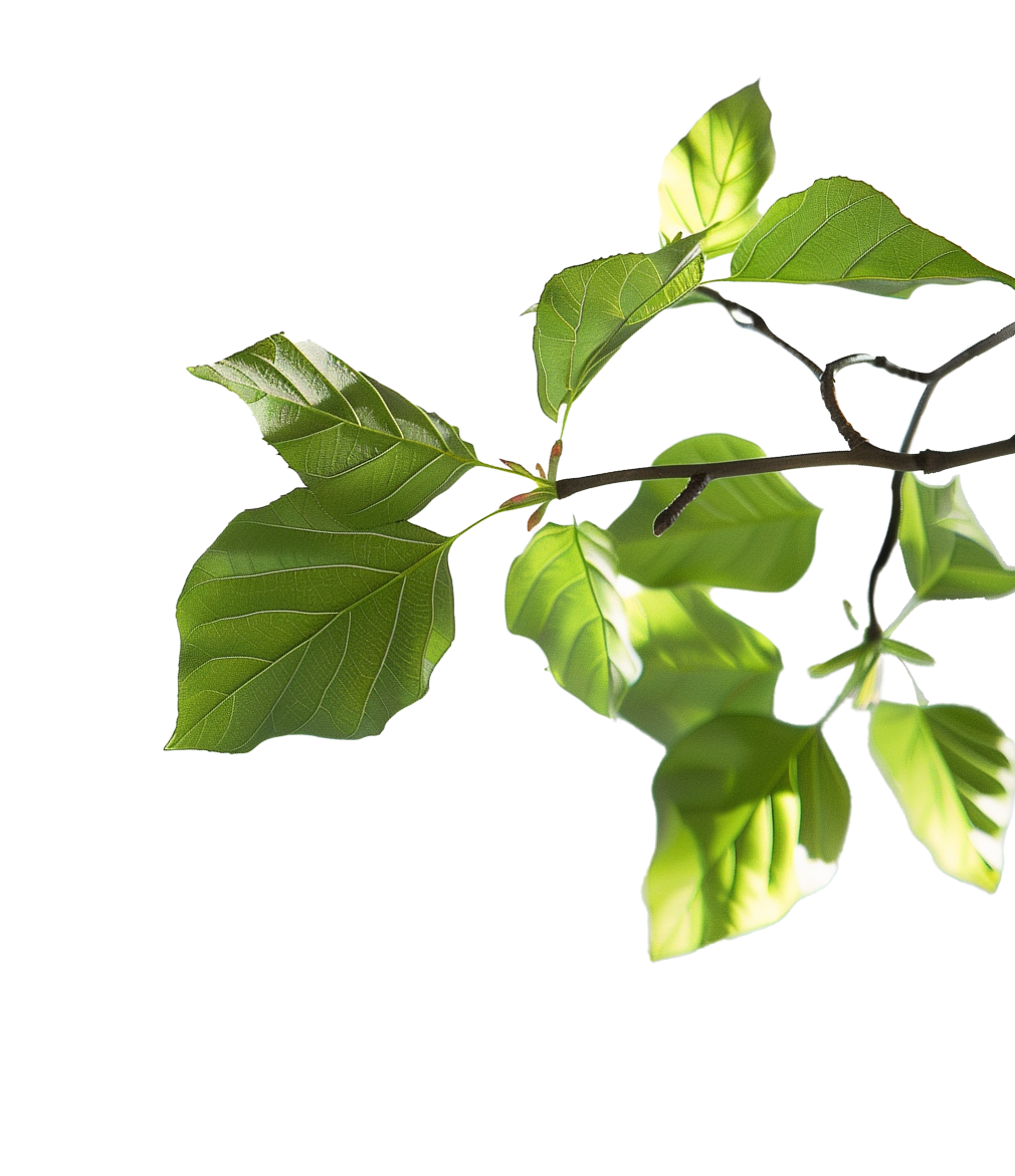 Food temperature plants and the immune system